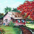 Tobago Country House by Karin Dawn Kelshall- Best Tobago Country House by Karin Dawn Kelshall- Best