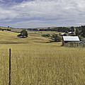 Tomales Study Photograph by Joyce Creswell