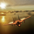 Tomcat Tomcat Digital Art by Airpower Art Tomcat Tomcat Digital Art by Airpower Art