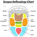 Tongue Reflexology Chart Greeting Card for Sale by Peter Hermes Furian