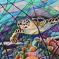 Tortuga carey cropped by Angel Ortiz Tortuga carey cropped by Angel Ortiz