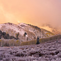 Touch Of Winter by Chad Dutson Touch Of Winter by Chad Dutson