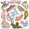 Toxic Tango I Sea Slugs Painting by Lucy Arnold Toxic Tango I Sea Slugs Painting by Lucy Arnold