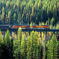 Train Coming Through Photograph by Todd Klassy Train Coming Through Photograph by Todd Klassy