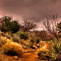Traveling the Trail at Red Rocks Canyon Photograph by David Patterson Traveling the Trail at Red Rocks Canyon Photograph by David Patterson