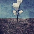 Tree Clouds 01d2 Digital Art by Aimelle Ml Tree Clouds 01d2 Digital Art by Aimelle Ml