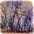 Trees are Poems That the Earth Writes Upon the Sky Digital Art by OLena Art Trees are Poems That the Earth Writes Upon the Sky Digital Art by OLena Art