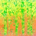 Trees in the Grass by William Russell Nowicki Trees in the Grass by William Russell Nowicki
