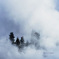 Trees through Firehole River Mist Photograph by Kae Cheatham Trees through Firehole River Mist Photograph by Kae Cheatham