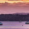 Triangle Ferry Run by E Faithe Lester