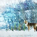Trickster Coyote Photograph by Theresa Tahara Trickster Coyote Photograph by Theresa Tahara