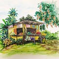 Trinidad Roadside Vendor by Karin Dawn Kelshall- Best Trinidad Roadside Vendor by Karin Dawn Kelshall- Best