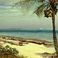 Tropical Coast Painting by Albert Bierstadt Tropical Coast Painting by Albert Bierstadt