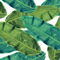 Tropical Leaves 7 Painting by Mark Ashkenazi Tropical Leaves 7 Painting by Mark Ashkenazi
