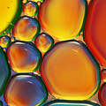 Tropical Oil and Water II Photograph by Sharon Johnstone Tropical Oil and Water II Photograph by Sharon Johnstone