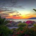 Tropical Paradise Sunset by Mathias 