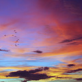 Tropical North Queensland Sunset Splendor by Kerryn Madsen-Pietsch Tropical North Queensland Sunset Splendor by Kerryn Madsen-Pietsch