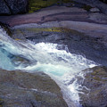 Tropical Water Bird Josephine Falls by Kerryn Madsen- Pietsch Tropical Water Bird Josephine Falls by Kerryn Madsen- Pietsch