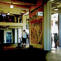 Troubadour Photograph by Linda Carruth Troubadour Photograph by Linda Carruth