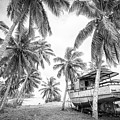 True Places Photograph by Becqi Sherman True Places Photograph by Becqi Sherman