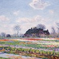 Tulip Fields At Sassenheim by Claude Monet Tulip Fields At Sassenheim by Claude Monet