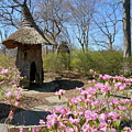 Tulip Tree House, Winterthur #4984 by Raymond Magnani
