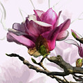 Tulip Trees by Gina Harrison