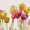 Tulipe Digital Art by Mark Mille Tulipe Digital Art by Mark Mille