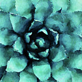 Turquoise Succulent Plant Digital Art by Phil Perkins Turquoise Succulent Plant Digital Art by Phil Perkins