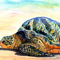 Turtle at Poipu Beach 8 Painting by Marionette Taboniar Turtle at Poipu Beach 8 Painting by Marionette Taboniar