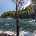 Turtle Point Photograph by Susan Rissi Tregoning Turtle Point Photograph by Susan Rissi Tregoning