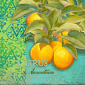 Tuscan Orange Tree - Citrus Aurantium Damask Painting by Audrey Jeanne Roberts Tuscan Orange Tree - Citrus Aurantium Damask Painting by Audrey Jeanne Roberts