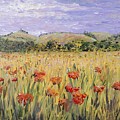 Tuscany Poppies by Nadine Rippelmeyer Tuscany Poppies by Nadine Rippelmeyer