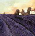 Tutta lavanda Painting by Guido Borelli Tutta lavanda Painting by Guido Borelli