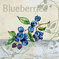 Tutti Fruiti Blueberries by Jean Plout Tutti Fruiti Blueberries by Jean Plout