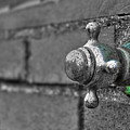 Twist And Turn Photograph by Evelina Kremsdorf Twist And Turn Photograph by Evelina Kremsdorf