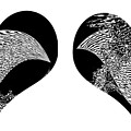 Two Dolphin Hearts Swimming Photograph by Marilyn Cornwell