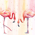Two Flamingos Watercolor by Olga Shvartsur Two Flamingos Watercolor by Olga Shvartsur