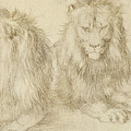 Two Seated Lions by Albrecht Durer Two Seated Lions by Albrecht Durer