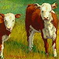 Two Young Herefords Pastel by Rita Kirkman Two Young Herefords Pastel by Rita Kirkman