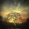 Un Dernier Crepuscule by Zapista OU Un Dernier Crepuscule by Zapista OU
