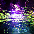 Under The Rainbow Photograph by Az Jackson Under The Rainbow Photograph by Az Jackson