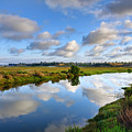 Upper Newport Bay Nature Preserve Photograph by Eddie Yerkish Upper Newport Bay Nature Preserve Photograph by Eddie Yerkish
