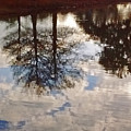Upside Down - Reflections by Marian Bell Upside Down - Reflections by Marian Bell