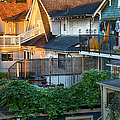 Urban Vancouver Photograph by Theresa Tahara Urban Vancouver Photograph by Theresa Tahara