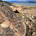 Utah Lake Petroglyph Panel Photograph by Brett Pelletier Utah Lake Petroglyph Panel Photograph by Brett Pelletier
