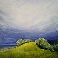 Valle Vista Meadow by Mishel Vanderten