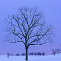 Valley Forge Nat'l Historical Park, PA Photograph by Kevin Shields Valley Forge Nat'l Historical Park, PA Photograph by Kevin Shields