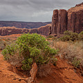 Valley of God Photograph by Jim Garrison Valley of God Photograph by Jim Garrison