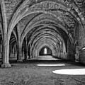 Vaults. Photograph by Elena Perelman Vaults. Photograph by Elena Perelman